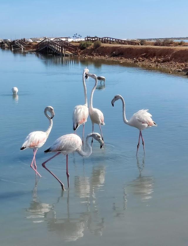 Villa La Casika De Lola San Javier Esterno foto